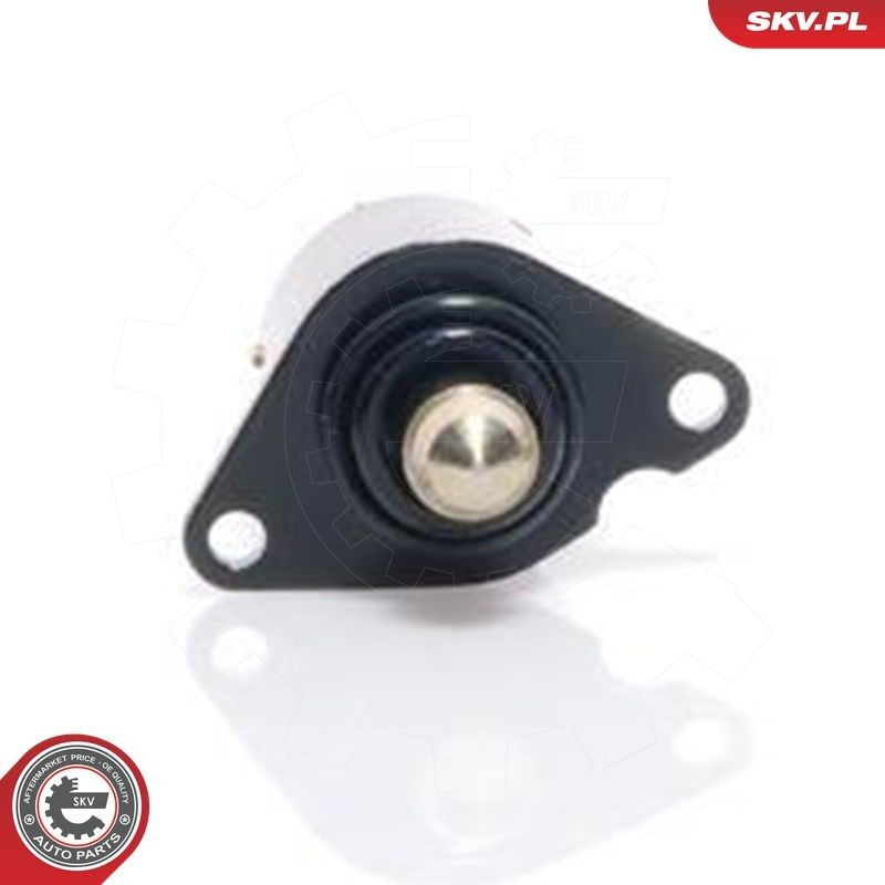 08SKV017 SKV